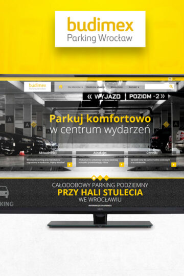 web development