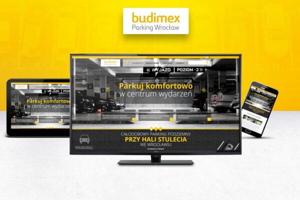 web development